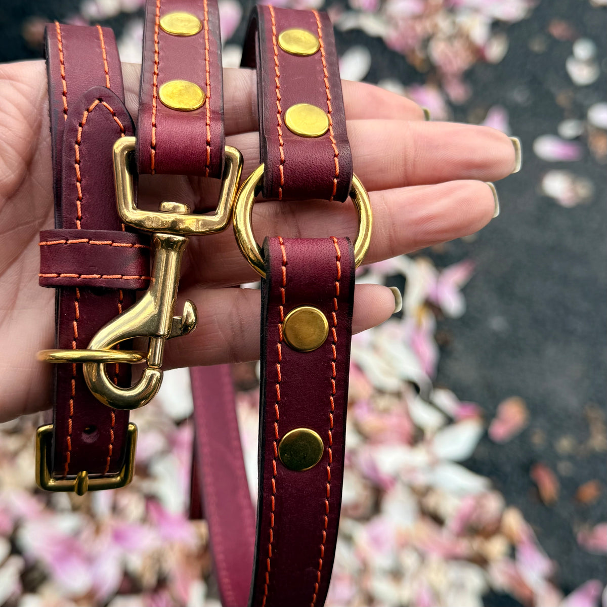 Maroon leather dog collar with gold hardware held by a hand against a blurred background.