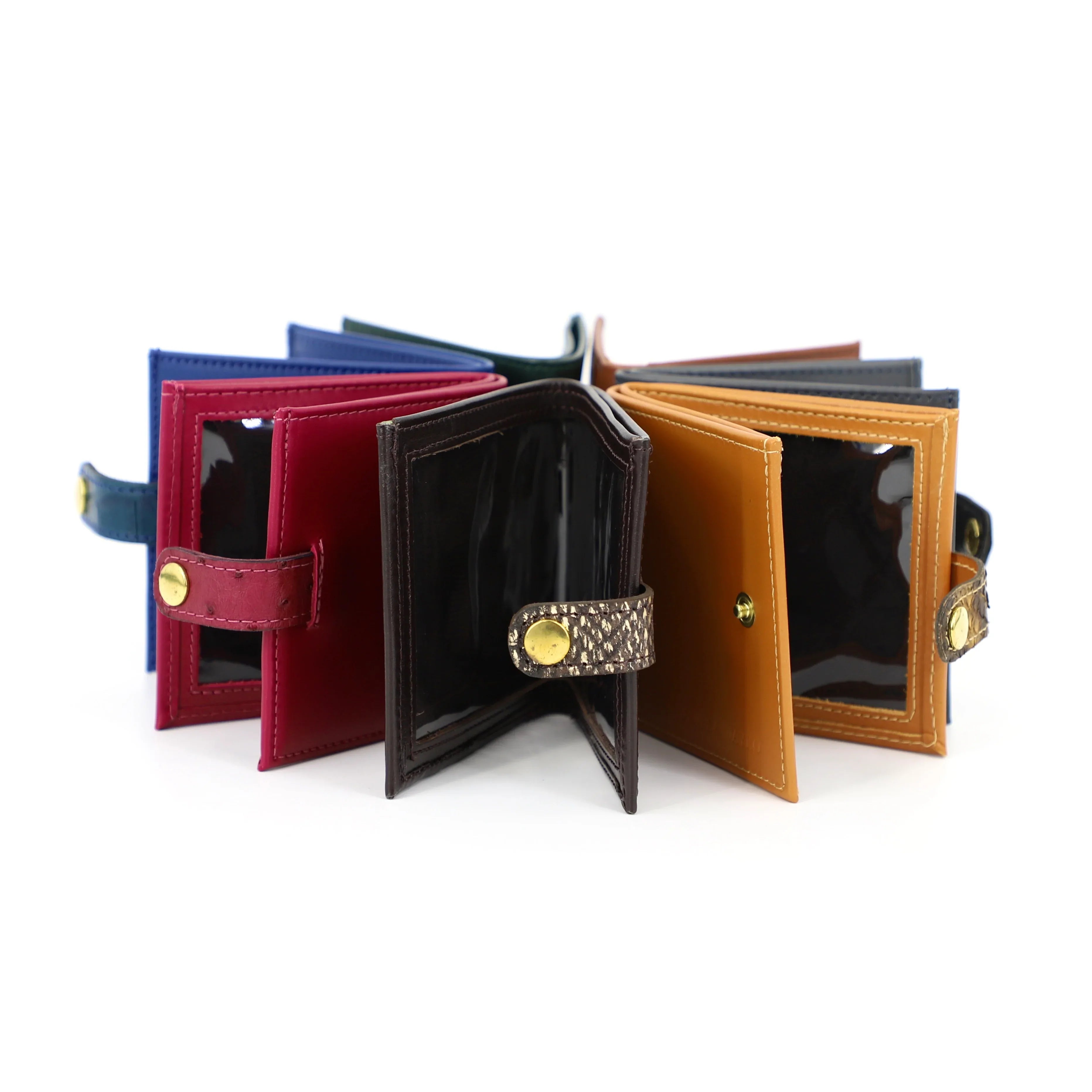 shotgun certificate holders different colours all in a circle and all slightly open
