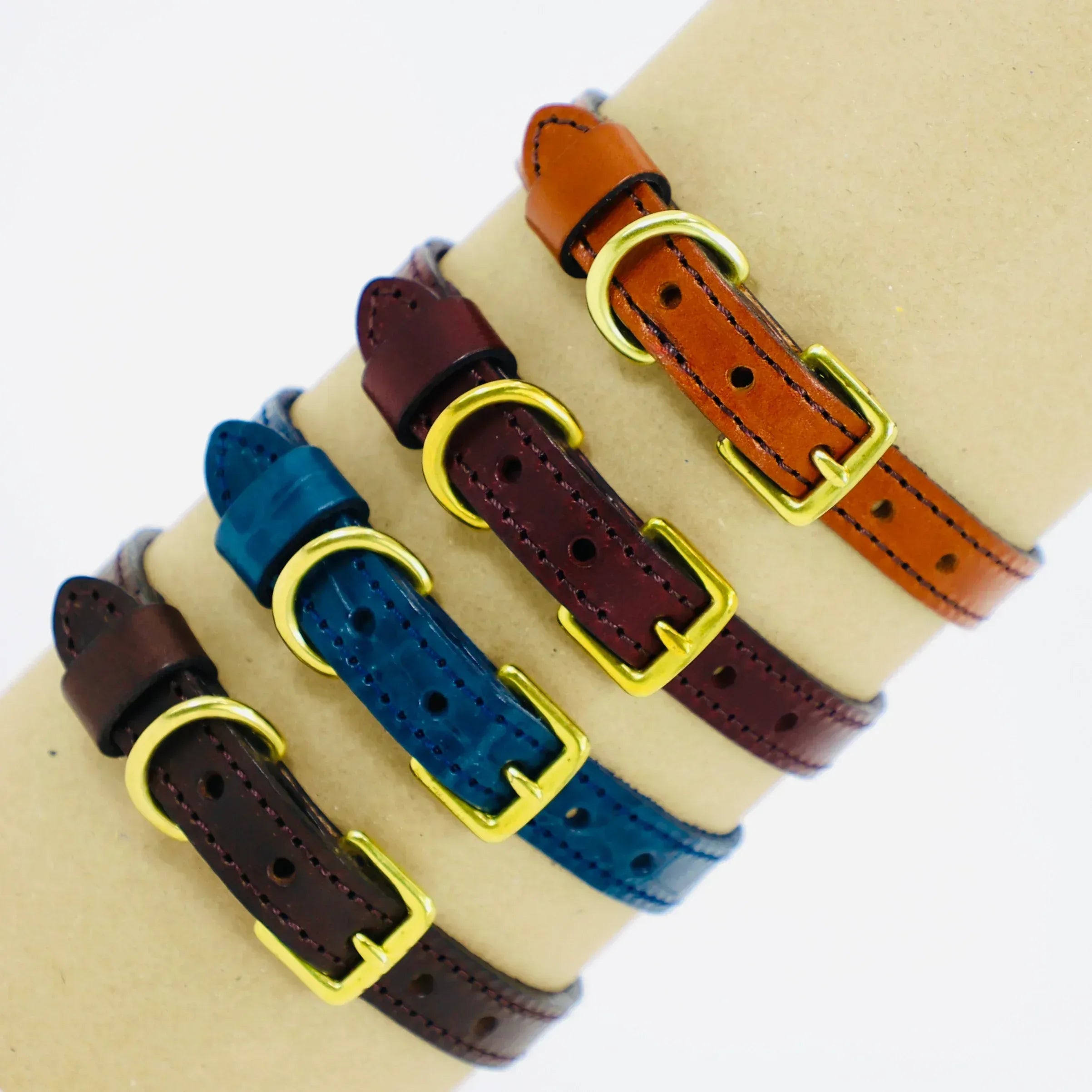 4 different colours of dog collars