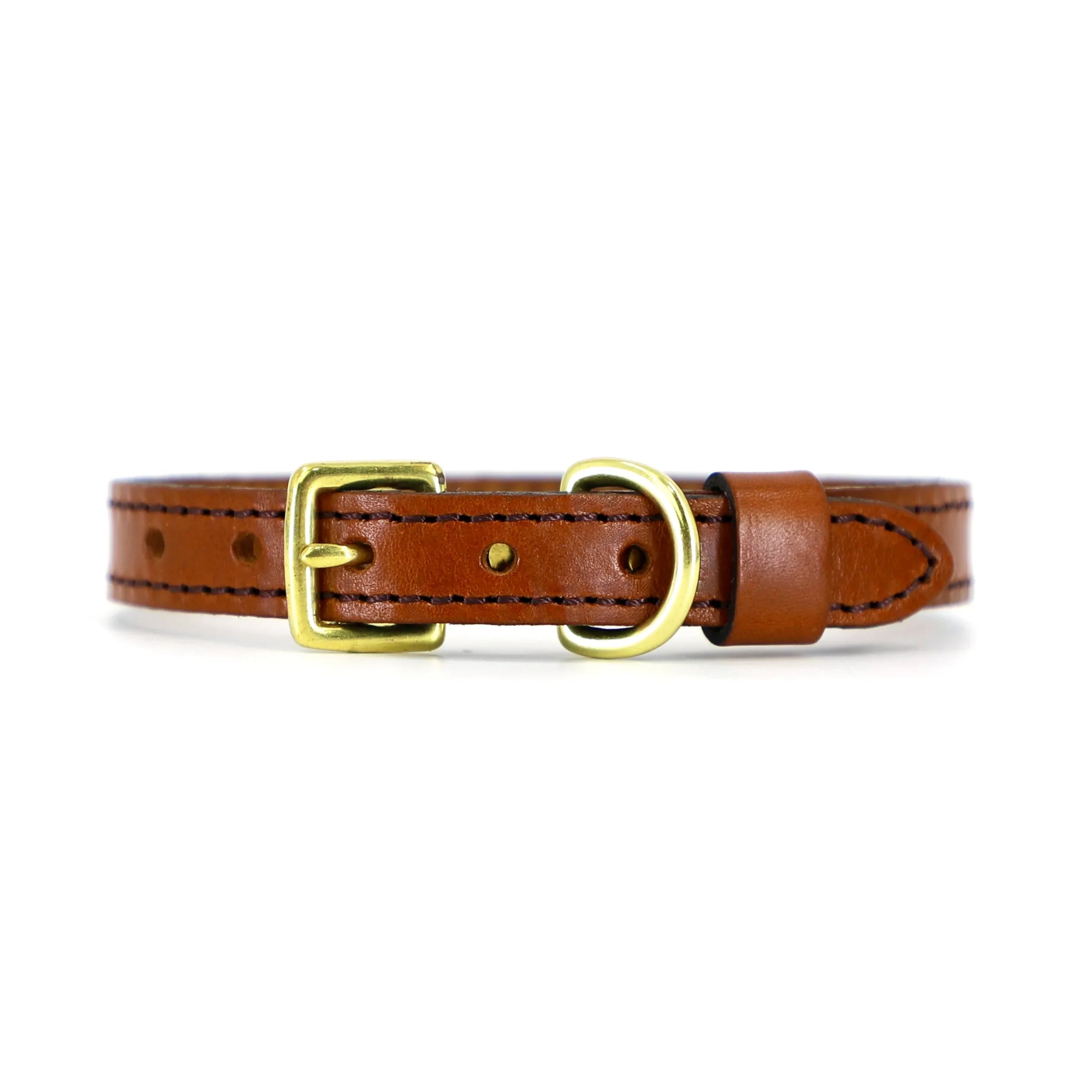 clio tan dog collar close up with brass buckle