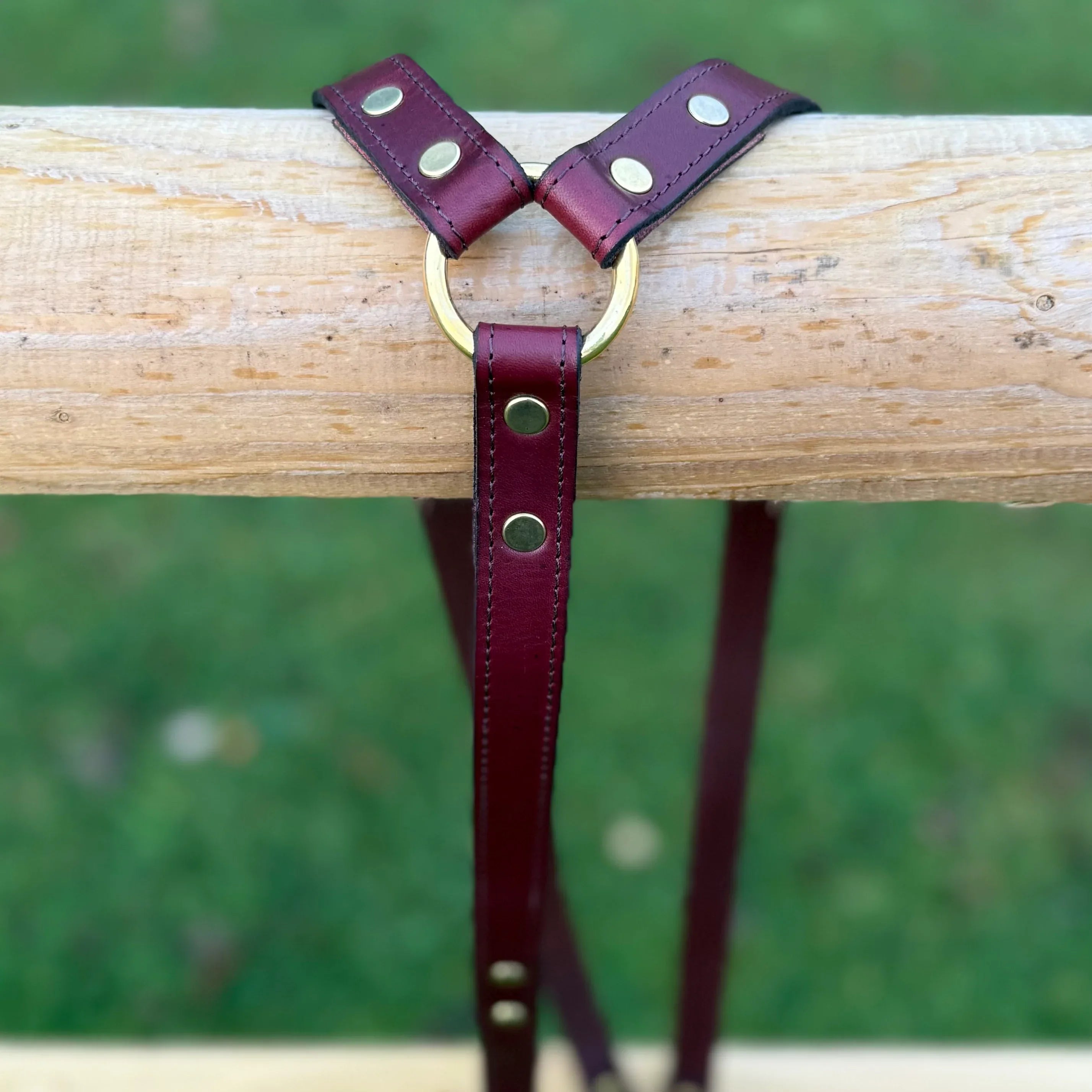 Burgundy leather strap with brass rings on a wooden post against a green background