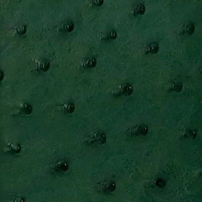Dark green textured surface with small raised bumps