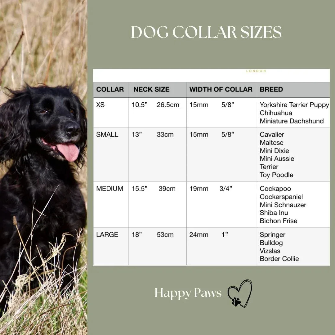 dog collar sizes