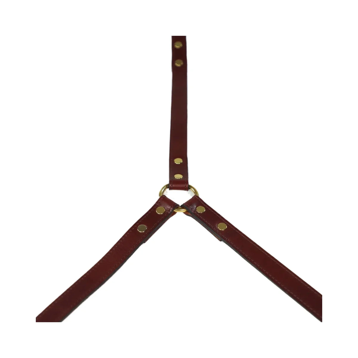 Oxblood leather harness with gold studs on a white background