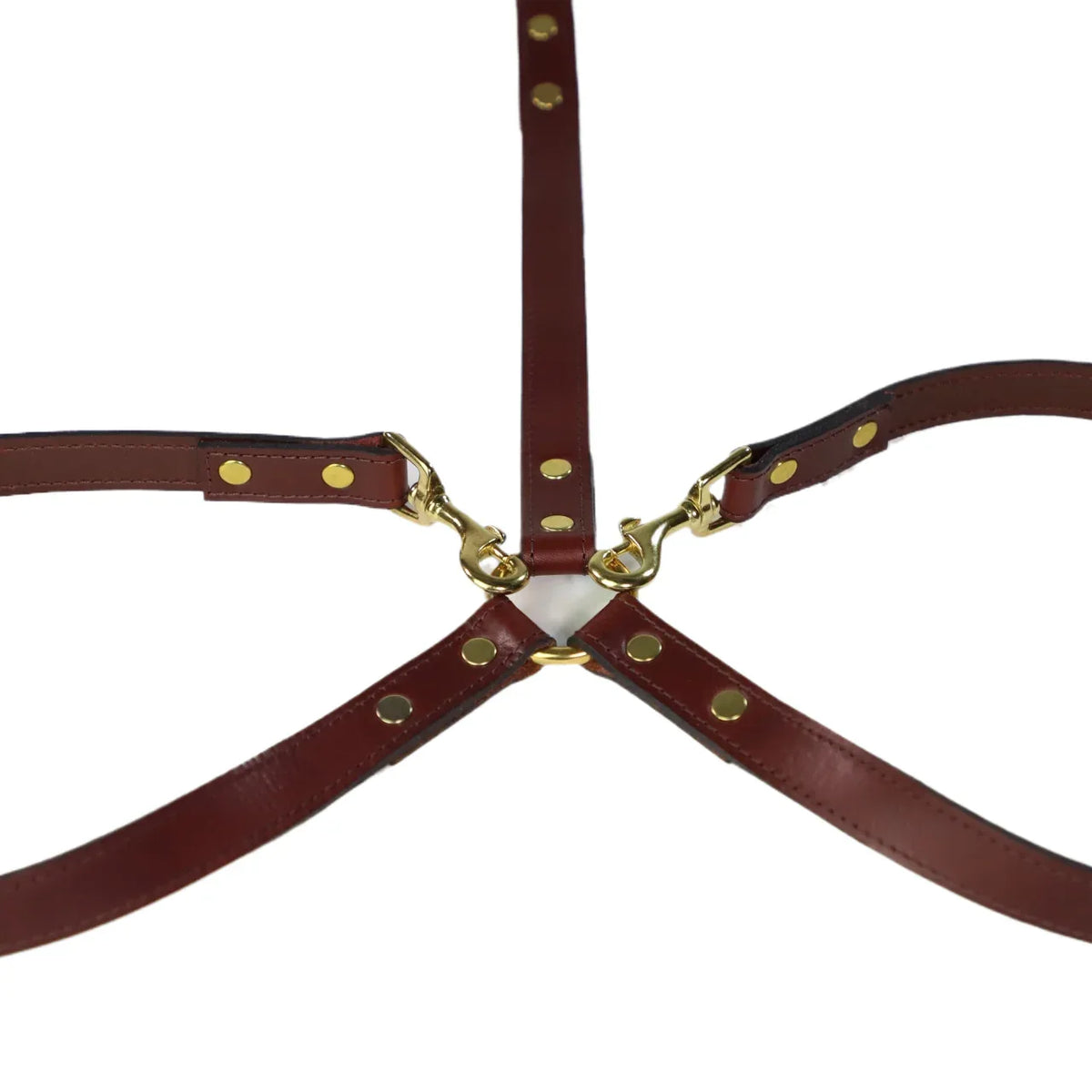 Oxblod leather dog lead with gold hardware on a white background
