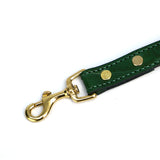 dog leads for shooting accessories for pets close up of hook