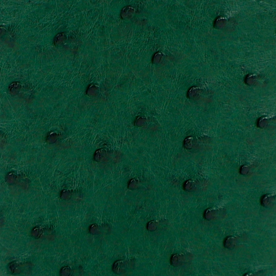 close up of ostrich green material